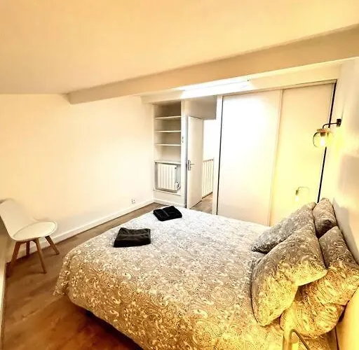 Cosy T3 Proche Gare Et Nansouty 公寓